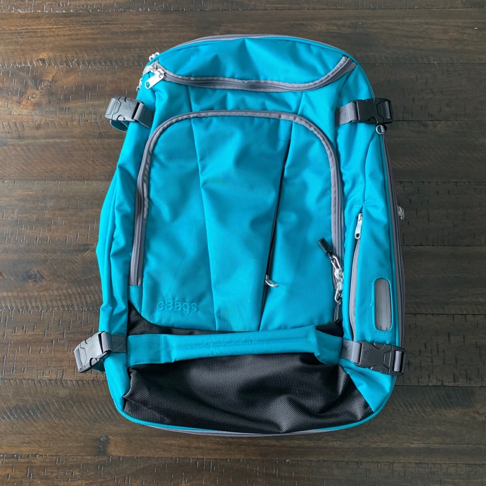 eBags Mother Lode Travel Backpack (Blue)